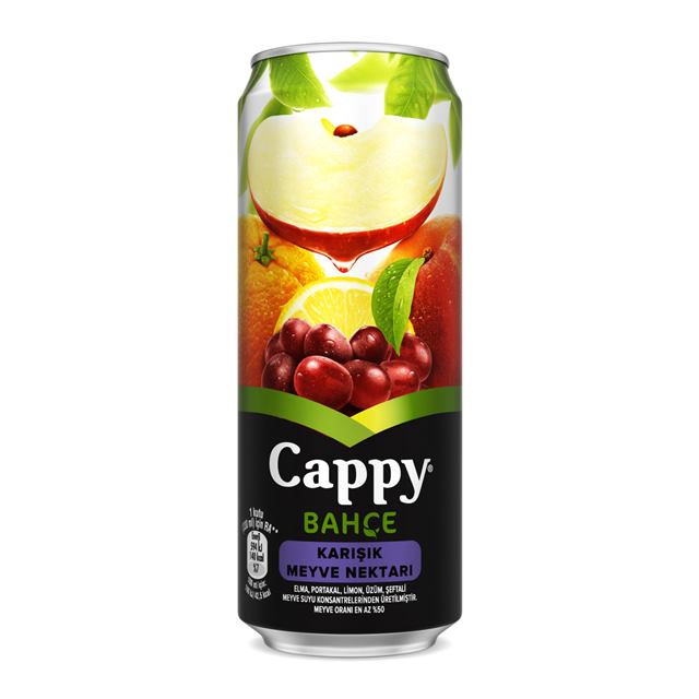 Cappy – Fruit juice | Look Döner Mahmutlar